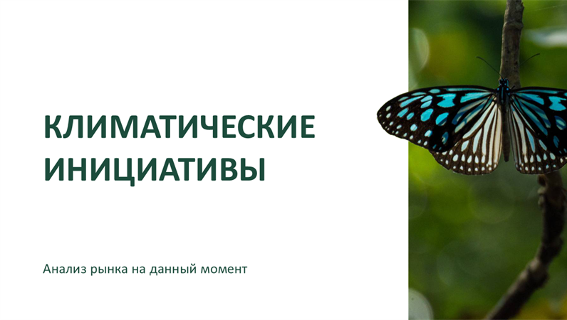 Презентация курса обучения Презентация курса обучения