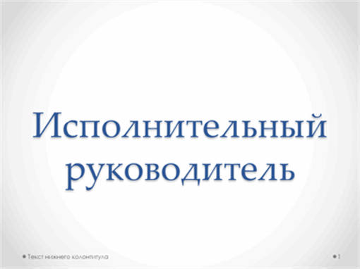 Исполнительный руководитель Исполнительный руководитель