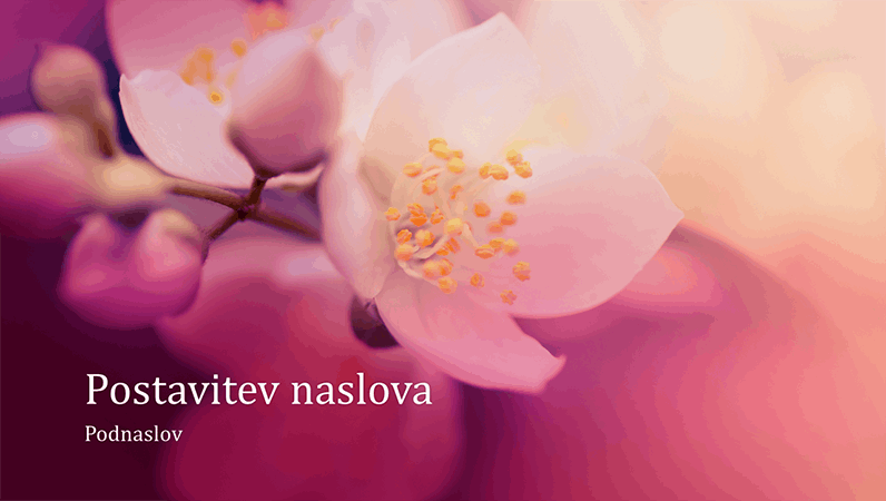 Predstavitev z naravnim motivom češnjevih cvetov (širokozaslonsko)