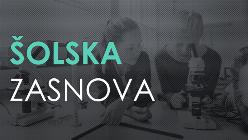 Šolska zasnova Šolska zasnova