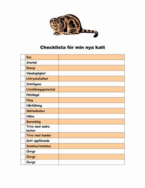 Checklista för min nya katt