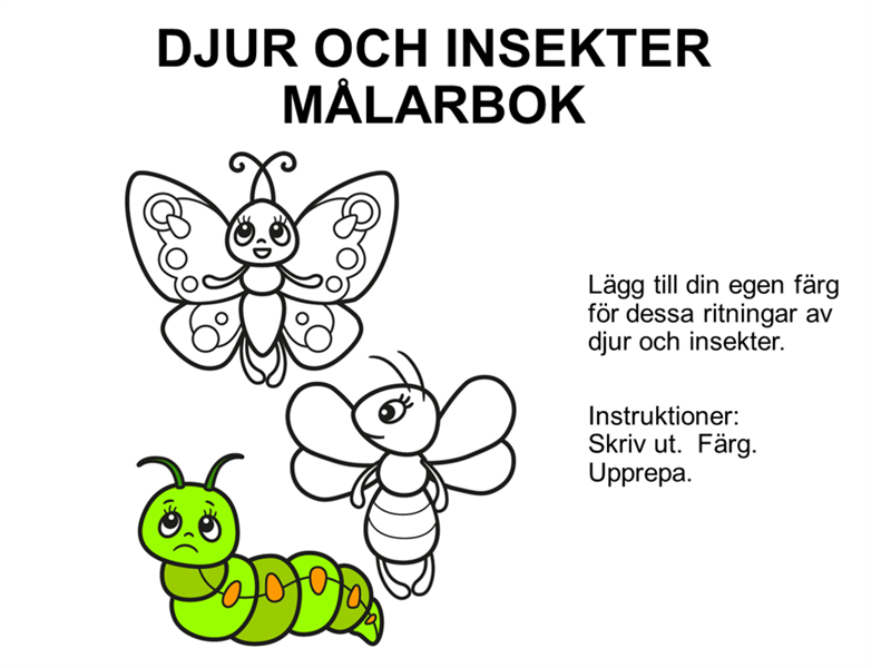 Målarbok med djur och insekter Målarbok med djur och insekter