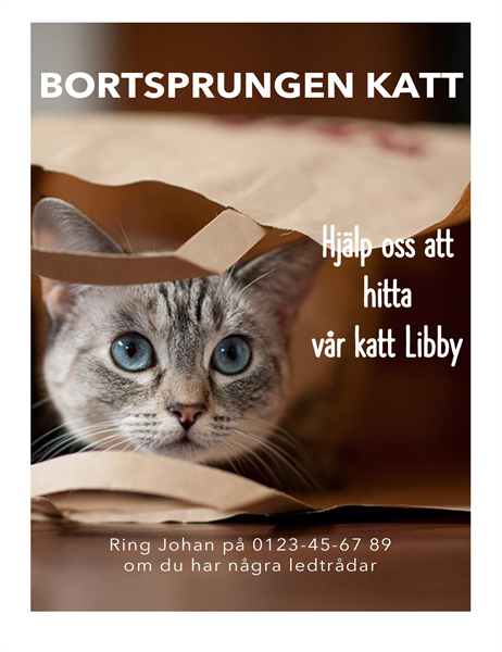 Informationsblad om bortsprungen katt
