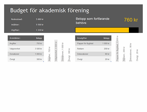 Budget för akademisk förening Budget för akademisk förening