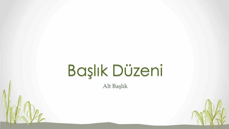 Sahil tasarım slaytları Sahil tasarım slaytları