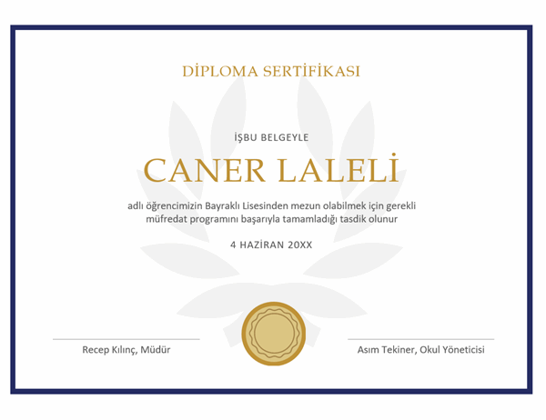 Diploma sertifikası