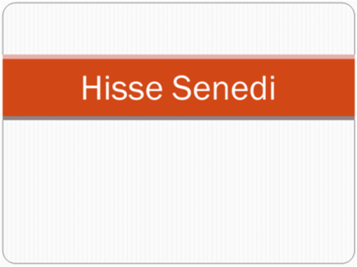 Hisse Senedi