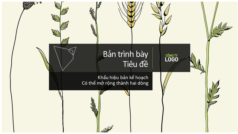 Bản kế hoạch Bản kế hoạch