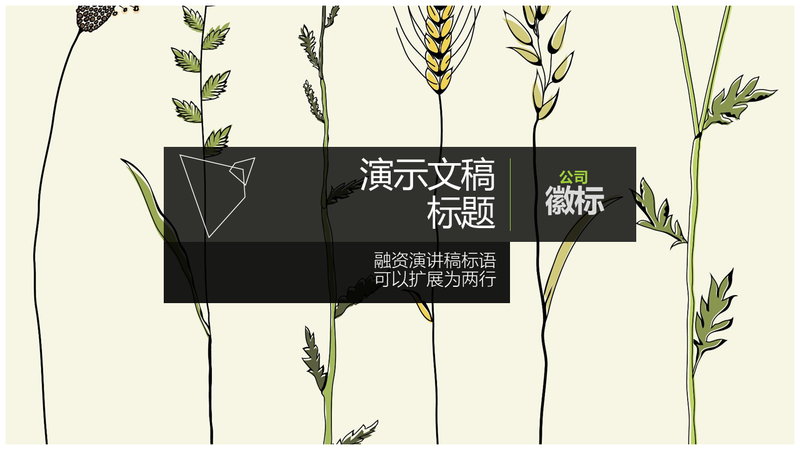 融资演讲稿 融资演讲稿