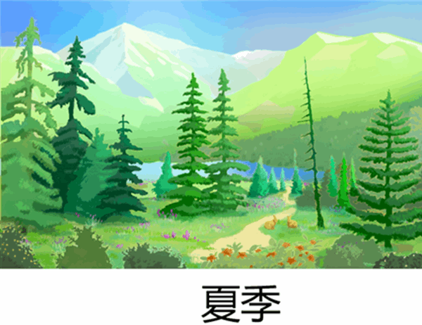 荒野场景明信片(四分之一折) 荒野场景明信片(四分之一折)