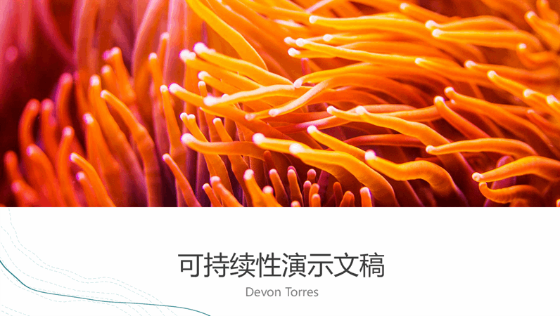 海洋图案演示文稿 海洋图案演示文稿